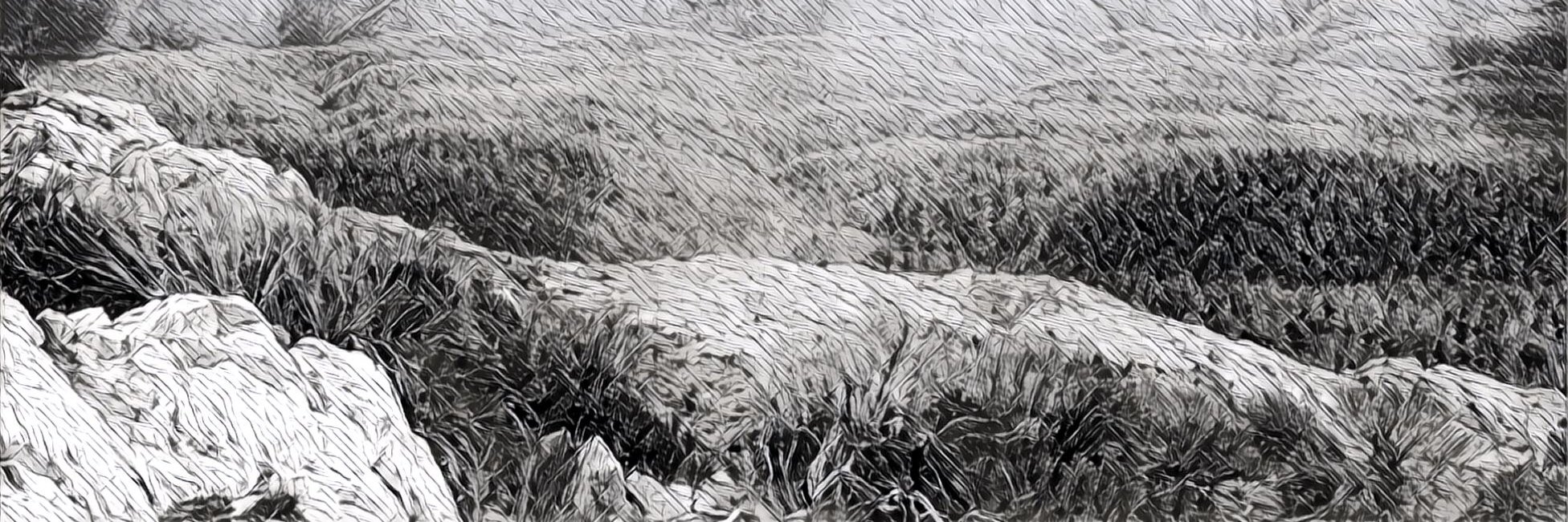 Stephen Gwilliam banner