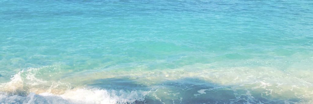 brooklynnnnnb's profile banner image
