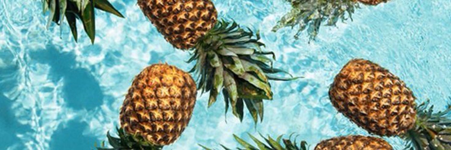 TaylorMelian's profile banner image