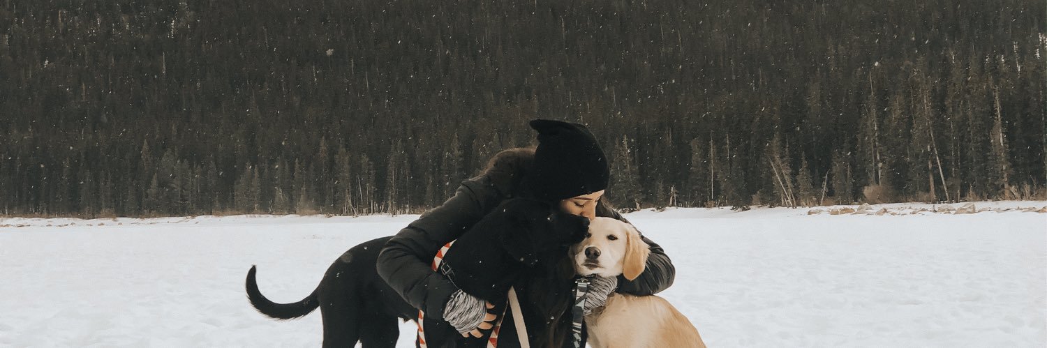 ashleypintoo's profile banner image