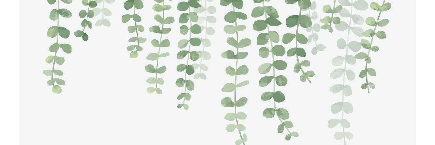 Grace_Pollock's profile banner image