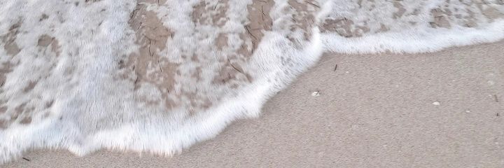 SandraEscamill's profile banner image
