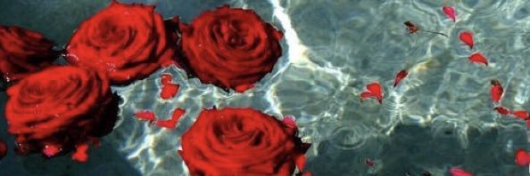 bbyshayna's profile banner image