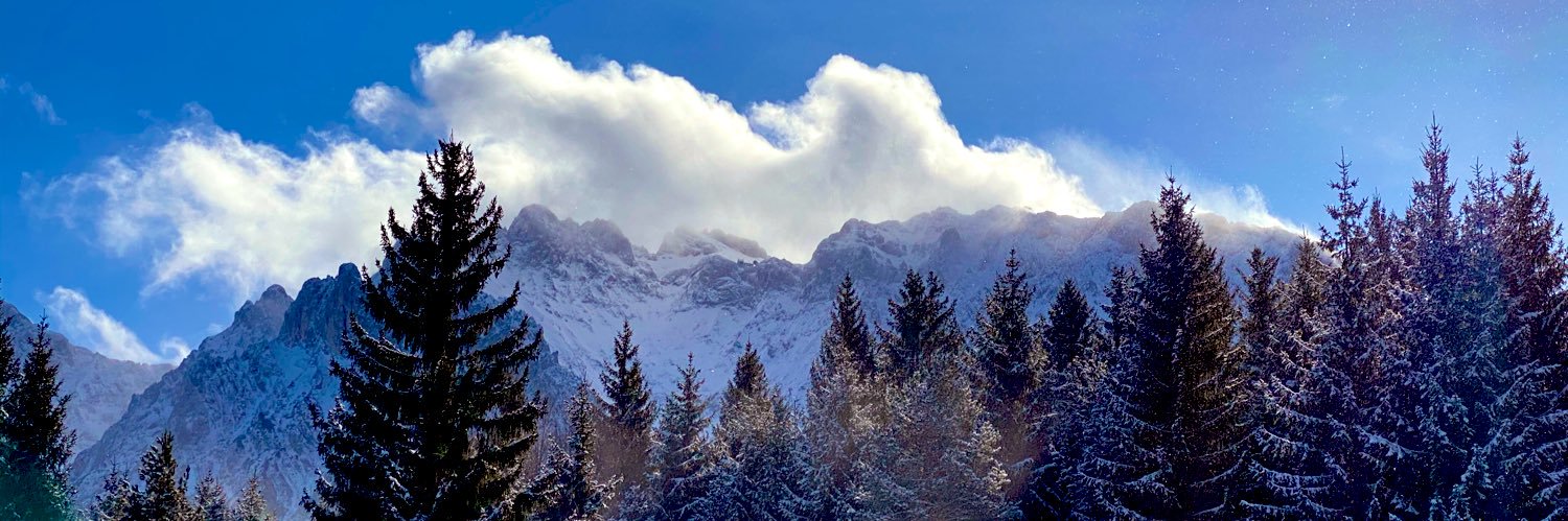 Heiko Trentzsch banner