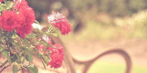 MissAprilKOCH's profile banner image