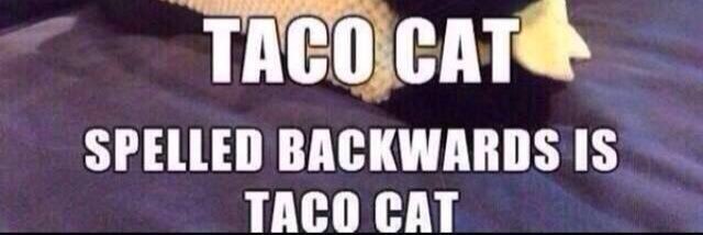 Carl Spackler banner