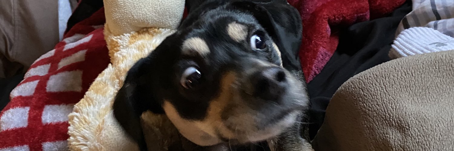 TheEdwinMoran's profile banner image