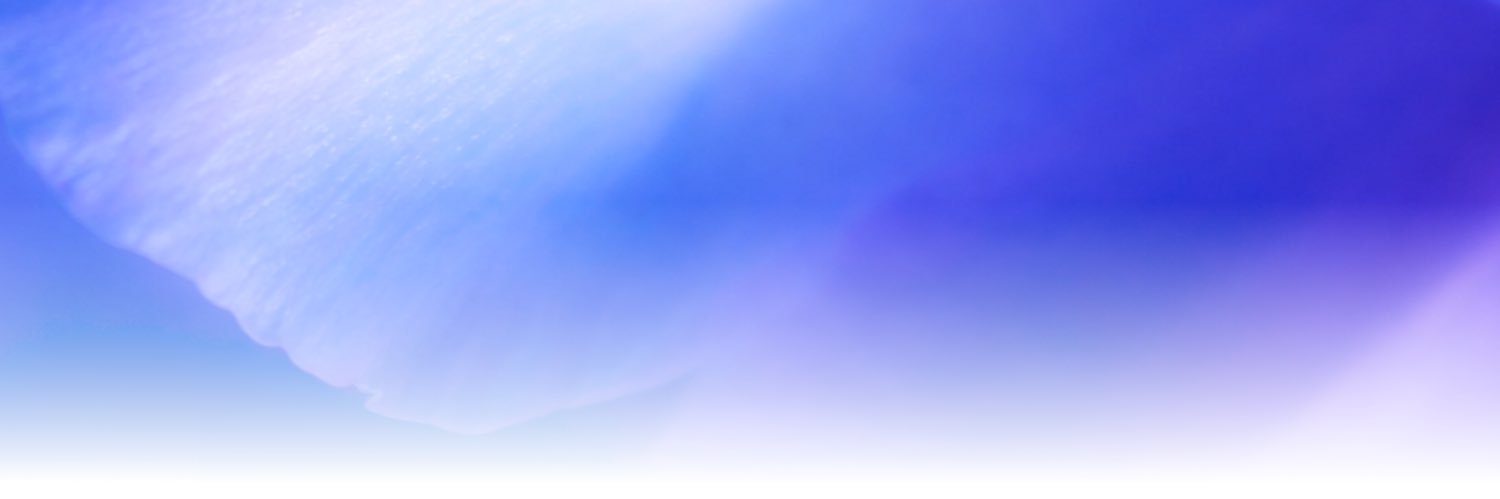 ericlim's profile banner image