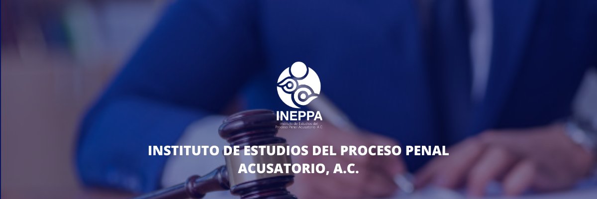 InstitutoINEPPA's profile banner image
