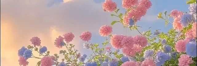 PrettyLeylah's profile banner image