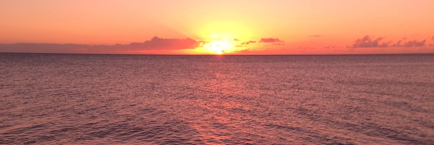 tross_78's profile banner image