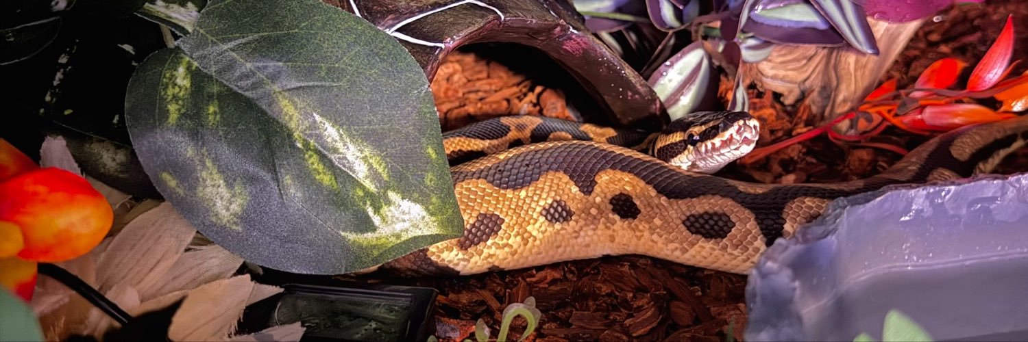 PoSnek's profile banner image