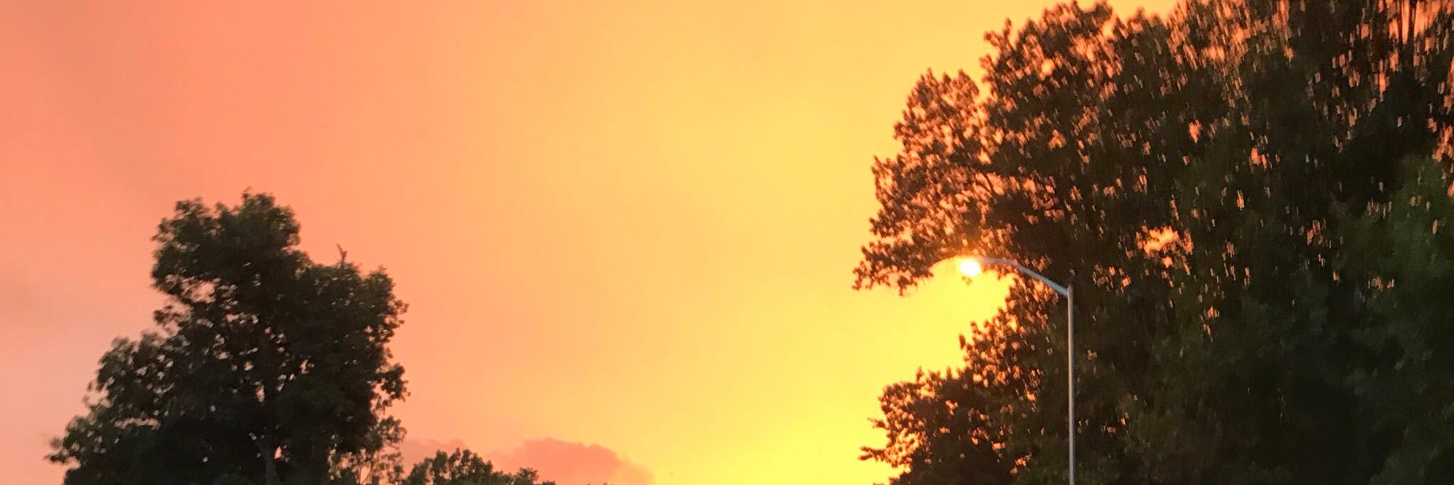 kayleeflorez's profile banner image