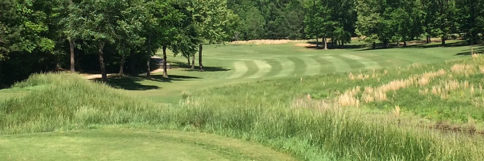 Paul L Carter, CGCS banner