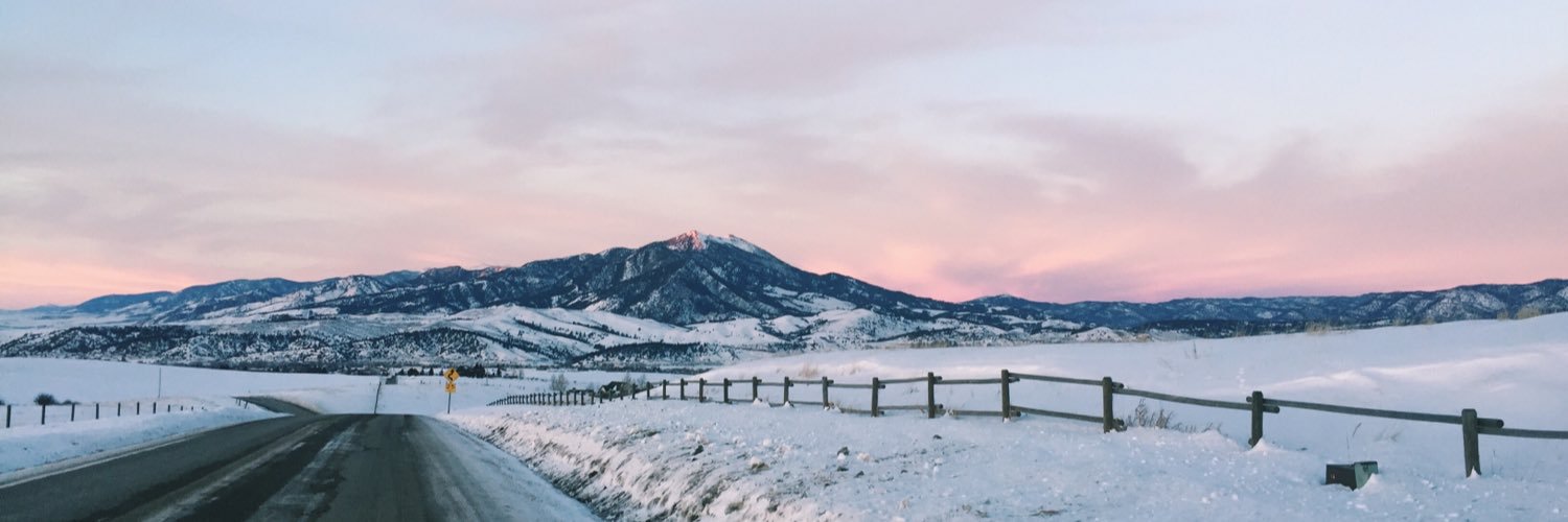 JuliaMortier's profile banner image
