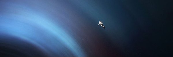 tuilli8 Profile Banner