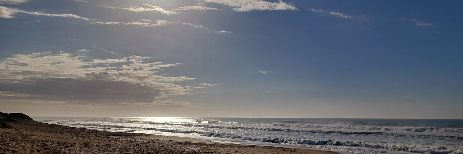 ElicabideCami's profile banner image