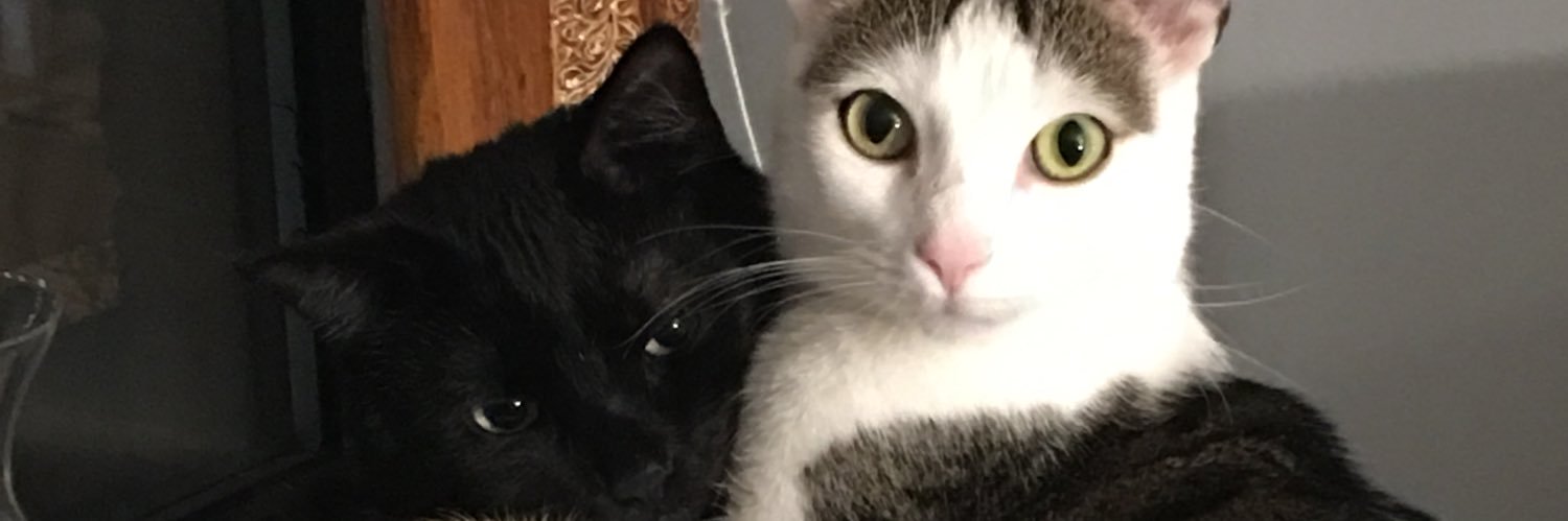 blackcat316's profile banner image