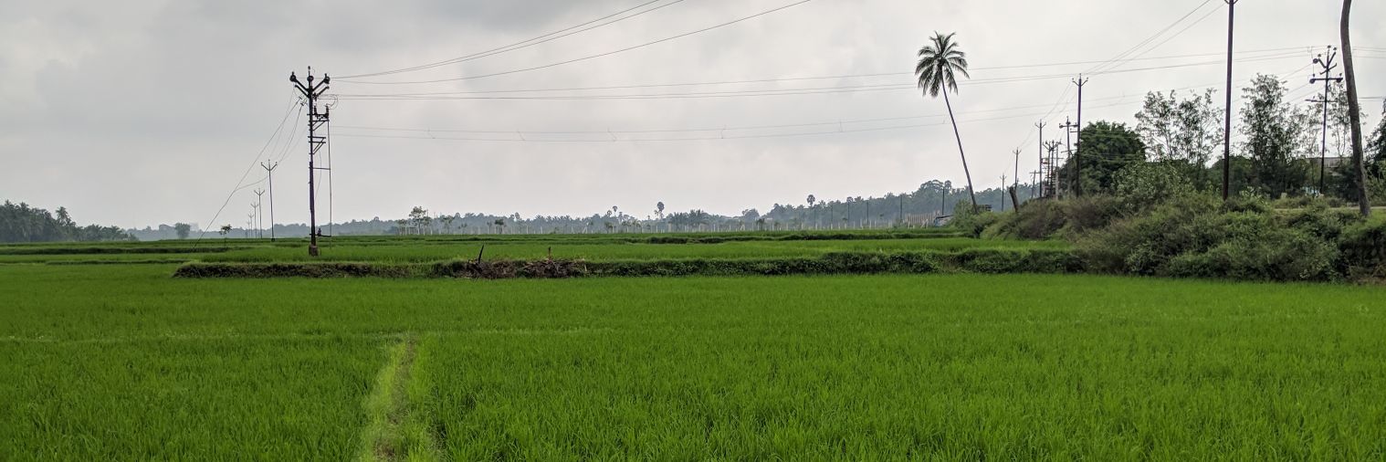 manasravi's profile banner image