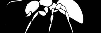 kingrams92's profile banner image