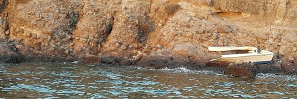 baumuscenter Profile Banner