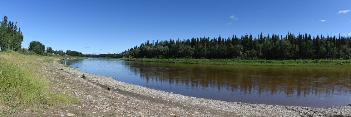 Wally Schumann banner