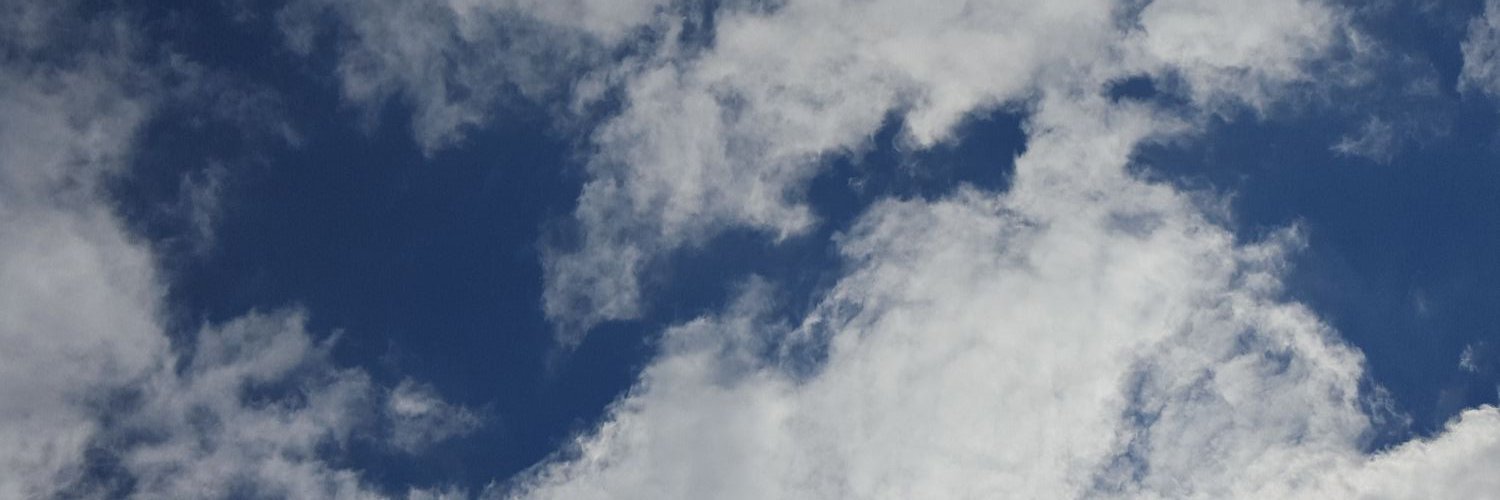 Brittany Lilly banner