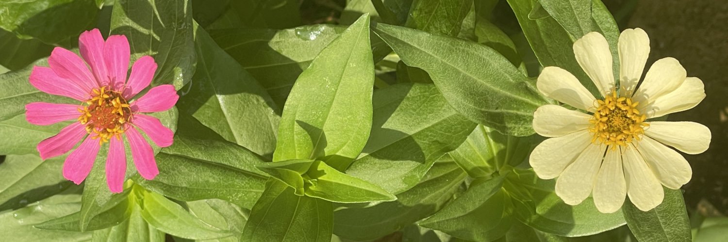 pppppppputi's profile banner image