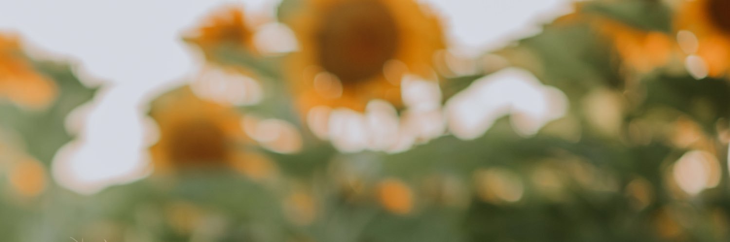Ivvvvy⚡ banner