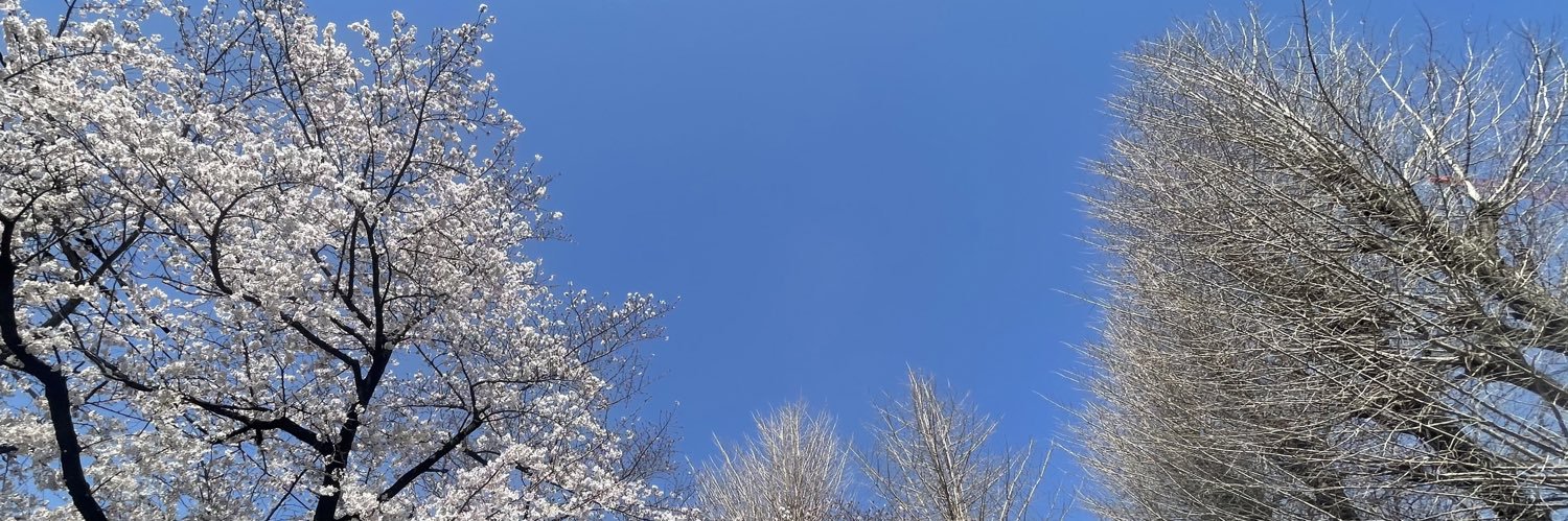 kidmangray's profile banner image