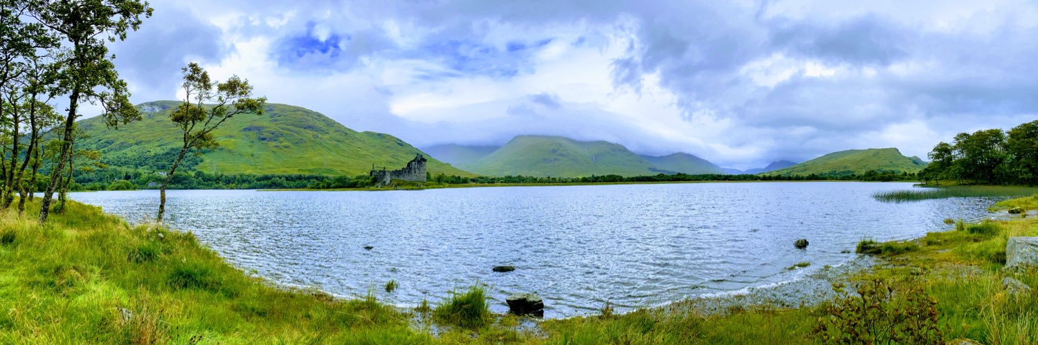 Dr. Daniela Castro-Camilo banner