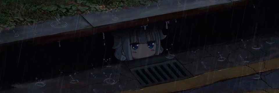 Ankio banner