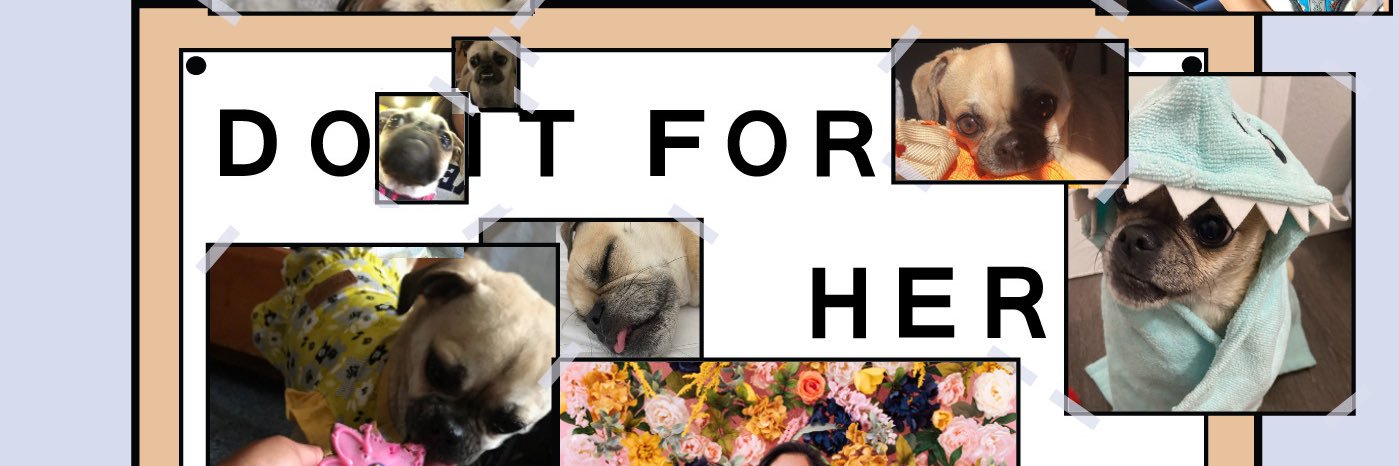 bitterillegal's profile banner image