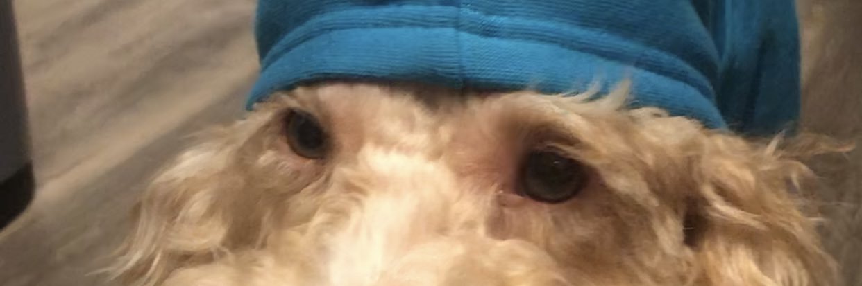Sammydeezz's profile banner image