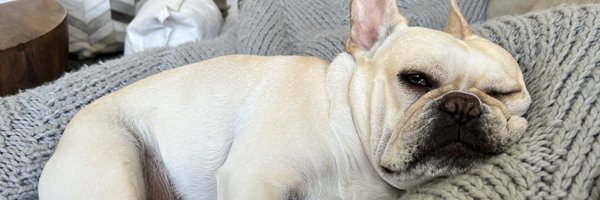 FiedlerAmy Profile Banner