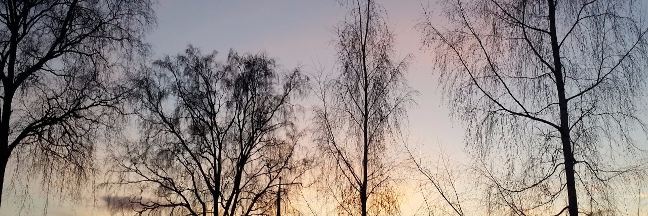MarieMarieba's profile banner image