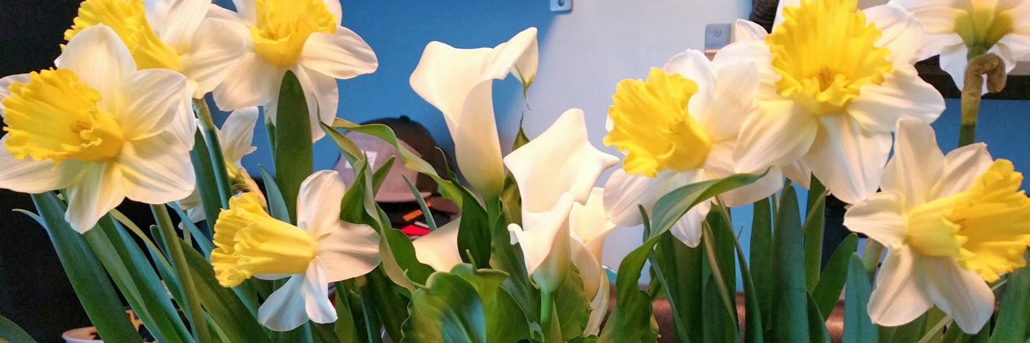 JBolohan's profile banner image