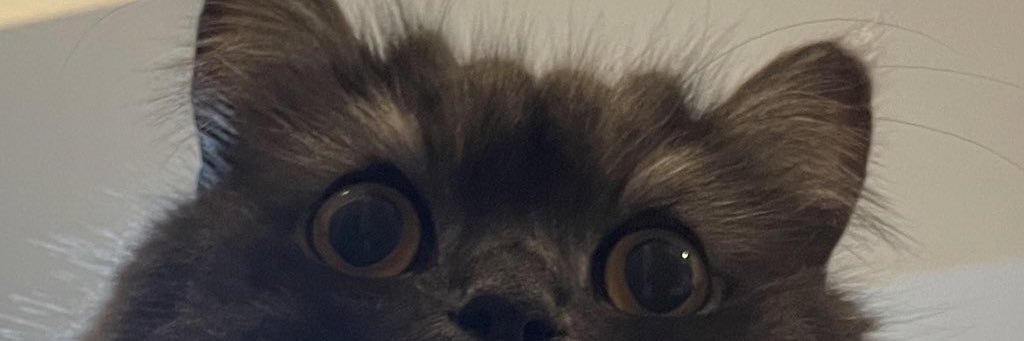 xopiyox's profile banner image