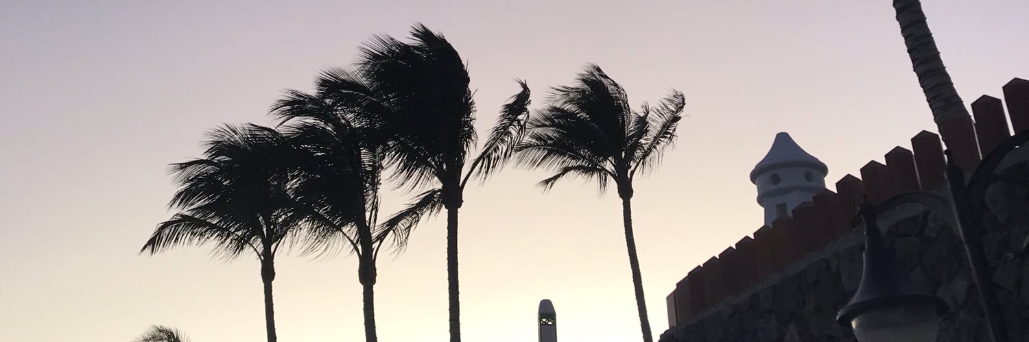 frankiefumbles's profile banner image