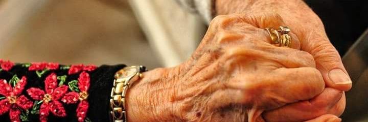 Ali4433Hania's profile banner image