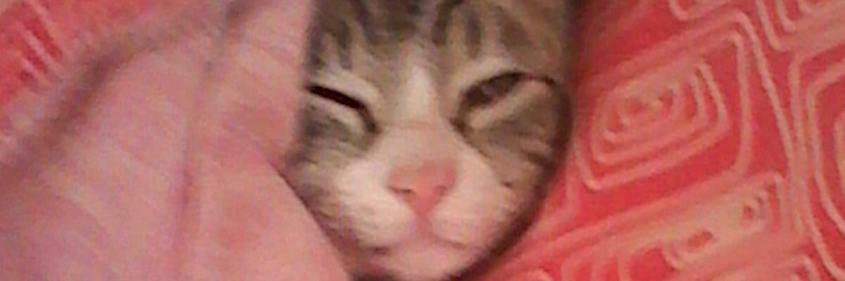 RolingCas's profile banner image
