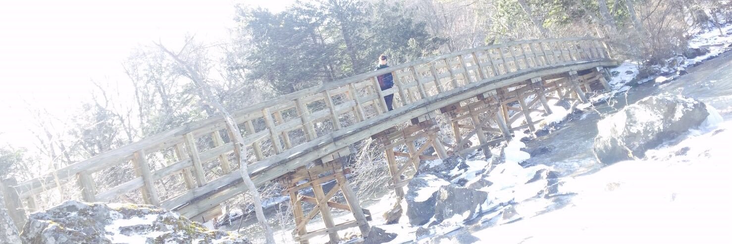 moringo0830's profile banner image