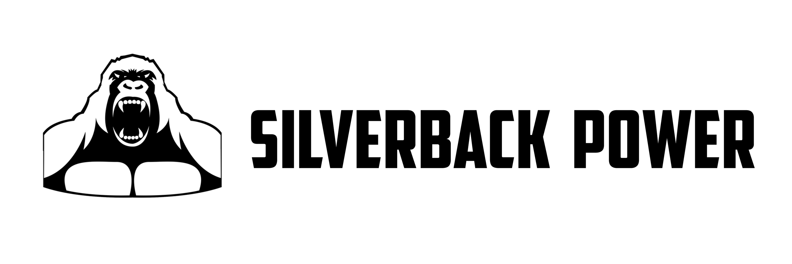 SilverbackPWR's profile banner image