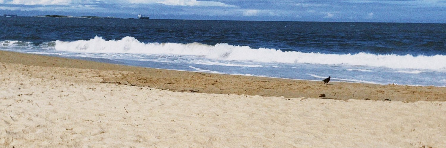 MariJorio's profile banner image