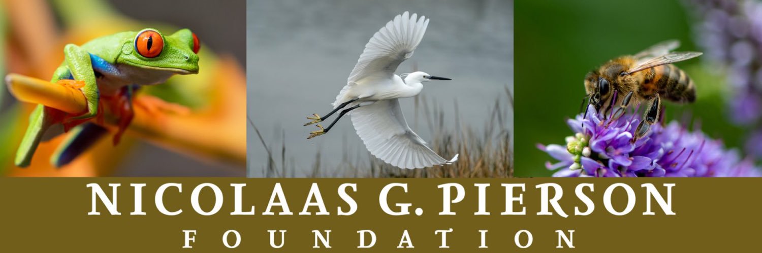 Nicolaas G. Pierson Foundation banner