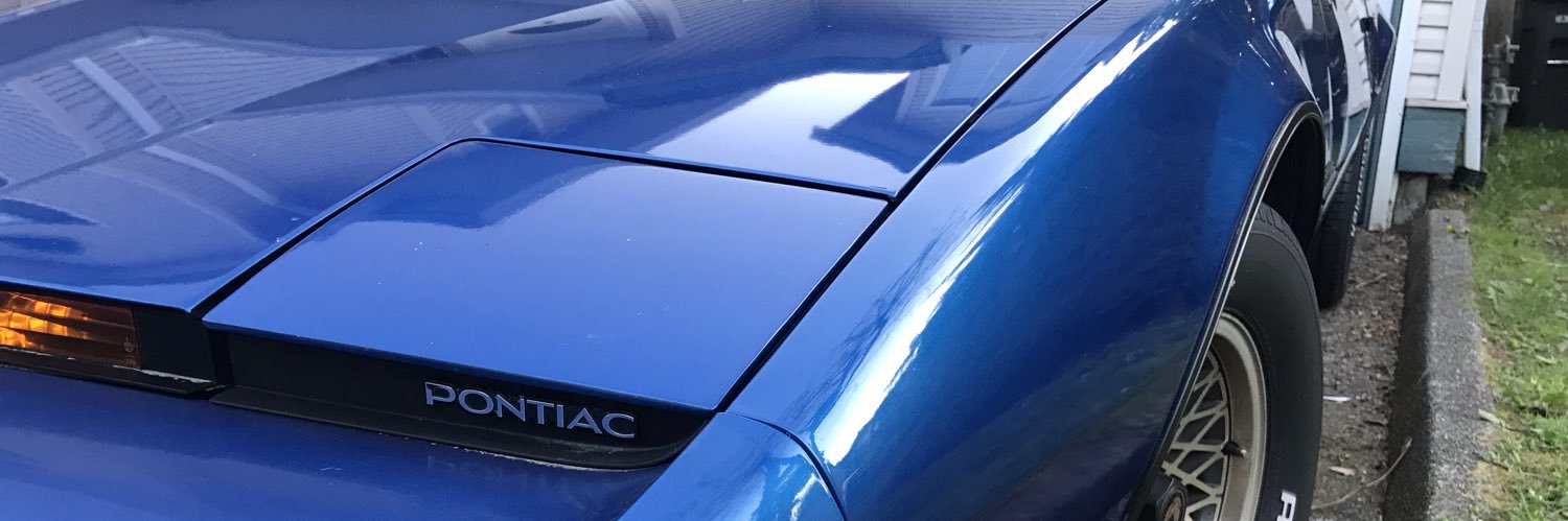 Kristenfirebird 🇨🇦 banner