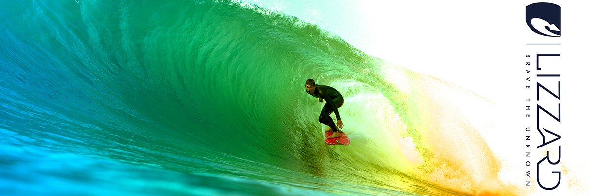 Lizzard South Africa banner