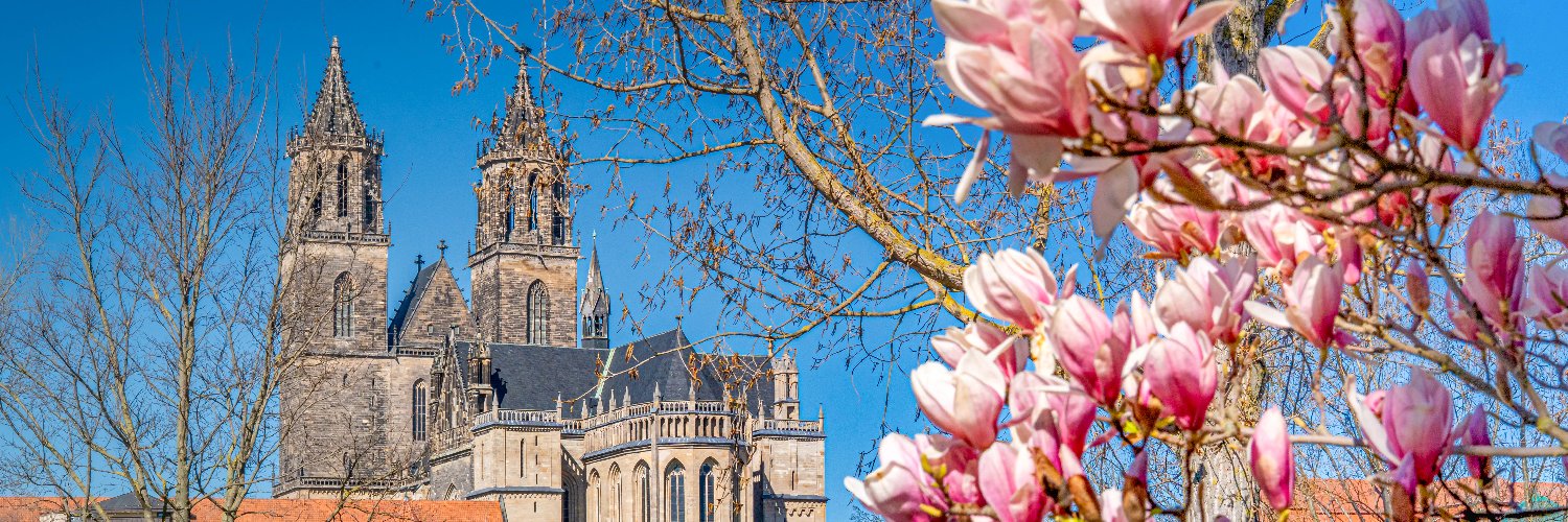 Ottostadt Magdeburg banner