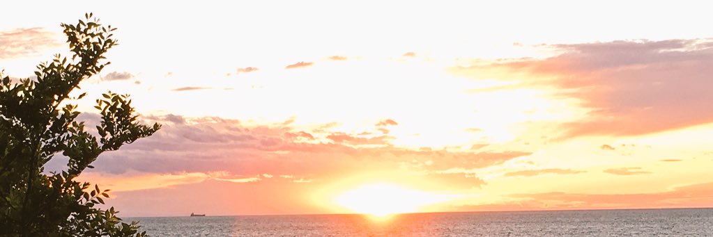thethirdsonrise's profile banner image