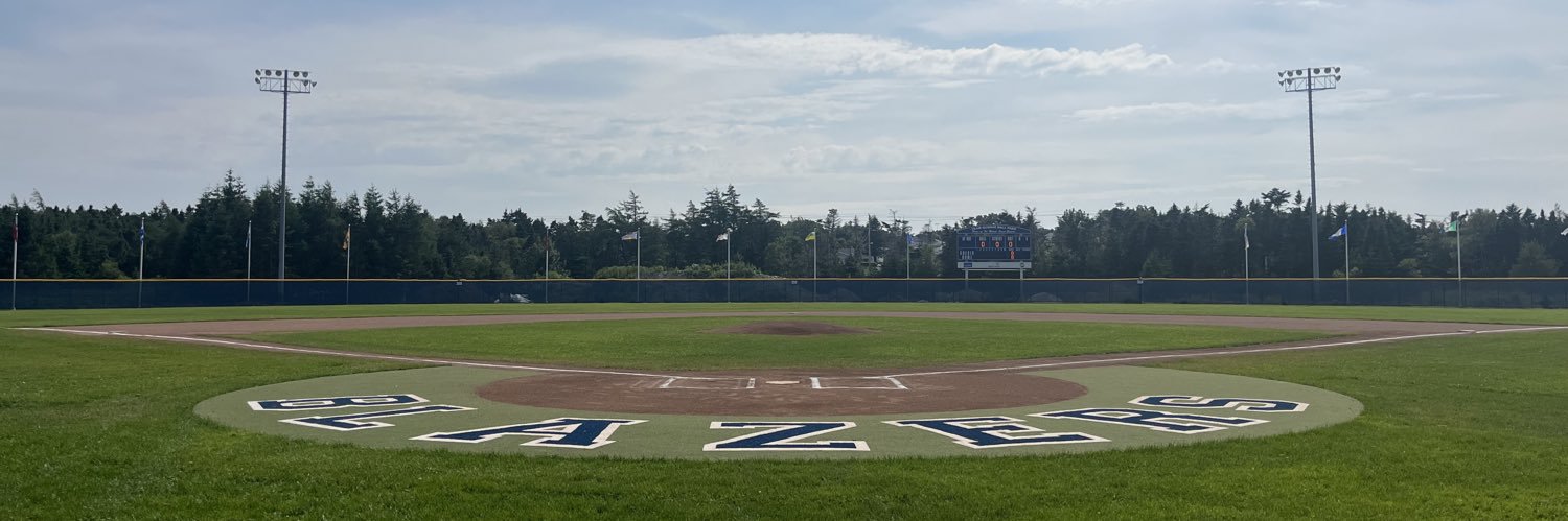 MP Minor Baseball banner